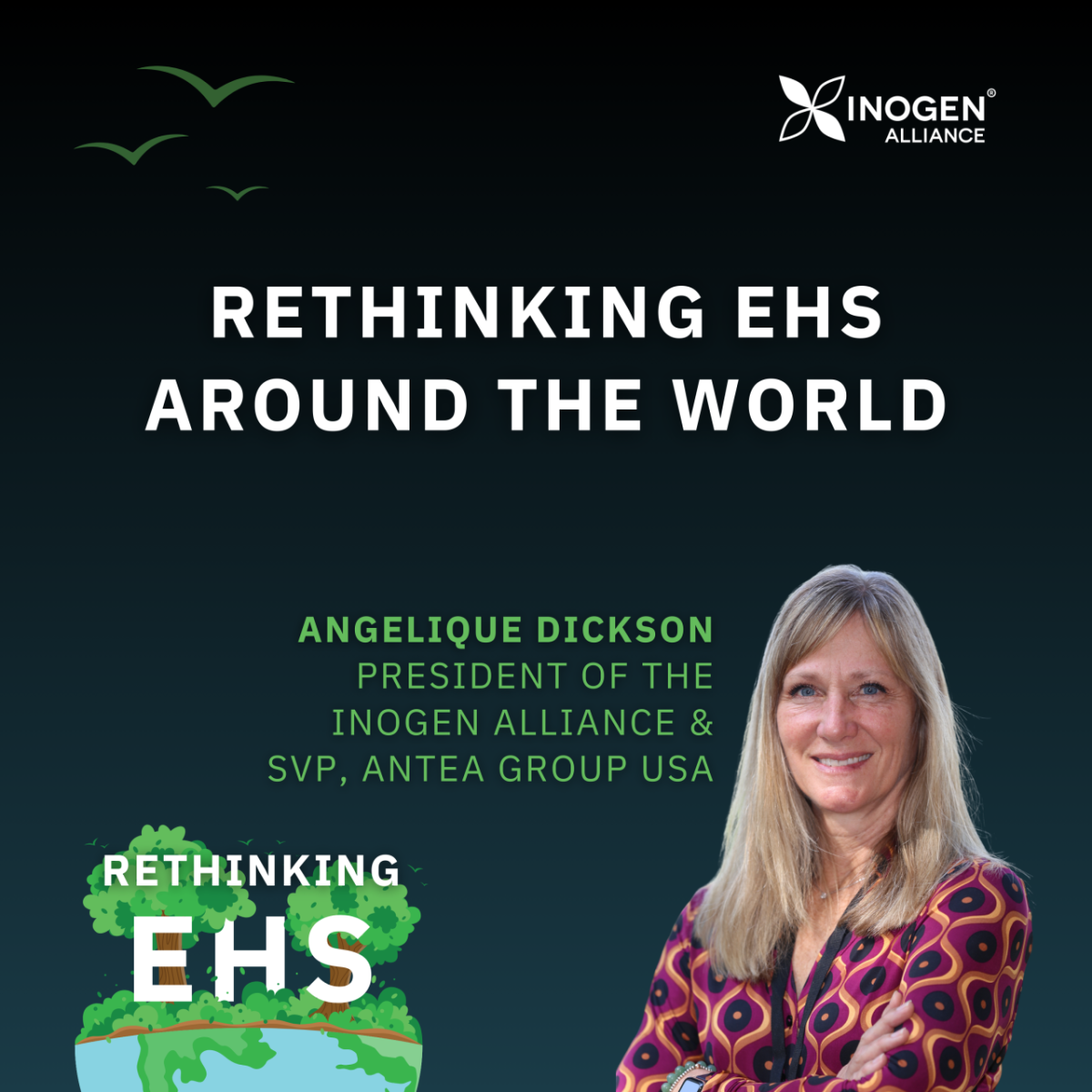 Podcast Rethinking Ehs Around The World With Angelique